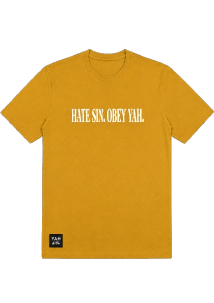 "Hate Sin" Airlume Tee