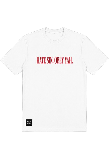 "Hate Sin" Airlume Tee