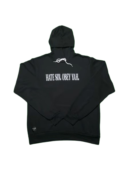 "Hate Sin" Airlume Hoodie